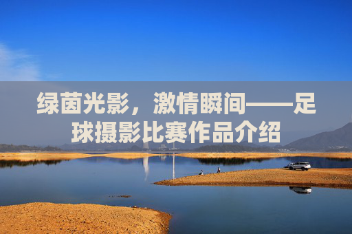绿茵光影,激情瞬间——足球摄影比赛作品介绍 绿茵光影,激情瞬间——足球摄影比赛作品介绍