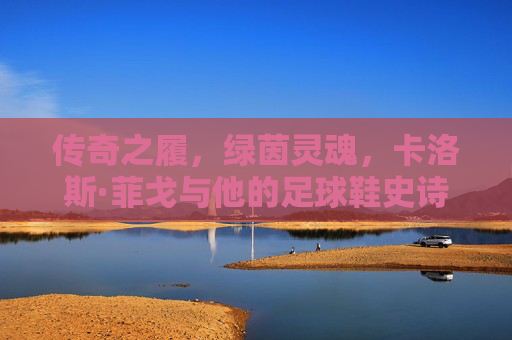 传奇之履,绿茵灵魂,卡洛斯·菲戈与他的足球鞋史诗 传奇之履,绿茵灵魂,卡洛斯·菲戈与他的足球鞋史诗