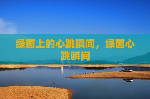 绿茵上的心跳瞬间,绿茵心跳瞬间 绿茵上的心跳瞬间,绿茵心跳瞬间