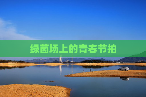 绿茵场上的青春节拍