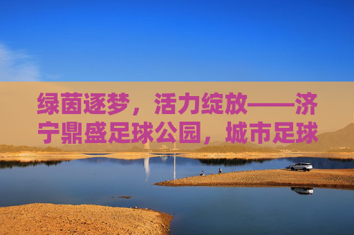 绿茵逐梦,活力绽放——济宁鼎盛足球公园,城市足球新地标 绿茵逐梦,活力绽放——济宁鼎盛足球公园,城市足球新地标