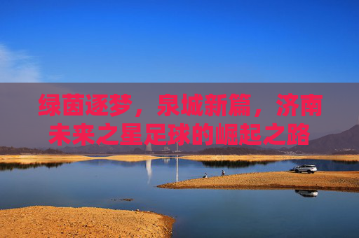 绿茵逐梦,泉城新篇,济南未来之星足球的崛起之路 绿茵逐梦,泉城新篇,济南未来之星足球的崛起之路