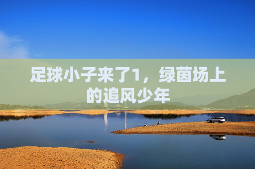 足球小子来了1,绿茵场上的追风少年 足球小子来了1,绿茵场上的追风少年