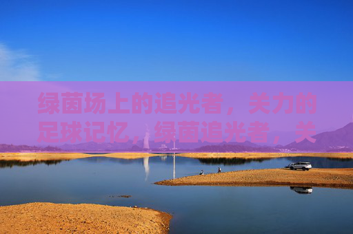绿茵场上的追光者，关力的足球记忆，绿茵追光者，关力的足球记忆