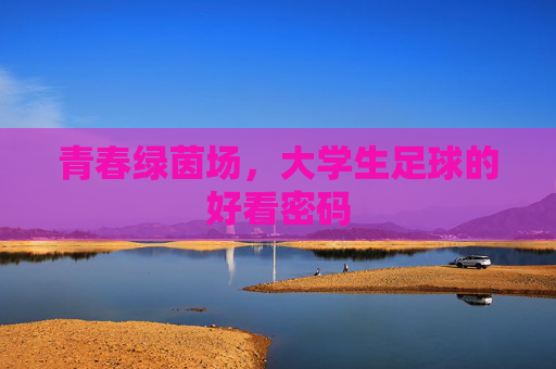 青春绿茵场,大学生足球的好看密码 青春绿茵场,大学生足球的好看密码