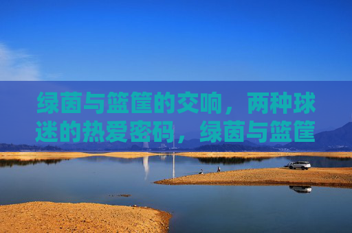 绿茵与篮筐的交响,两种球迷的热爱密码,绿茵与篮筐的交响,球迷热爱密码 绿茵与篮筐的交响,两种球迷的热爱密码,绿茵与篮筐的交响,球迷热爱密码