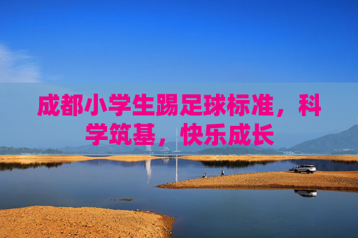 成都小学生踢足球标准，科学筑基，快乐成长
