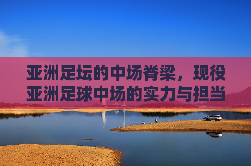 亚洲足坛的中场脊梁，现役亚洲足球中场的实力与担当