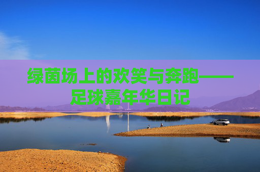 绿茵场上的欢笑与奔跑——足球嘉年华日记