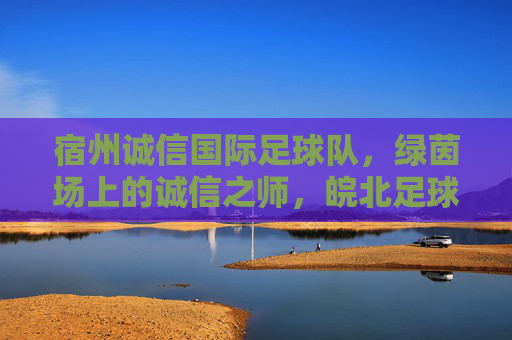 宿州诚信国际足球队，绿茵场上的诚信之师，皖北足球的追梦人，宿州诚信，皖北绿茵追梦人