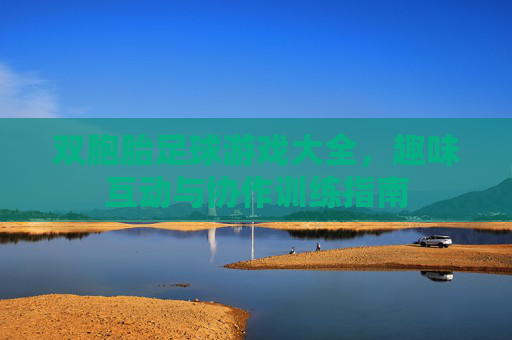 双胞胎足球游戏大全,趣味互动与协作训练指南 双胞胎足球游戏大全,趣味互动与协作训练指南