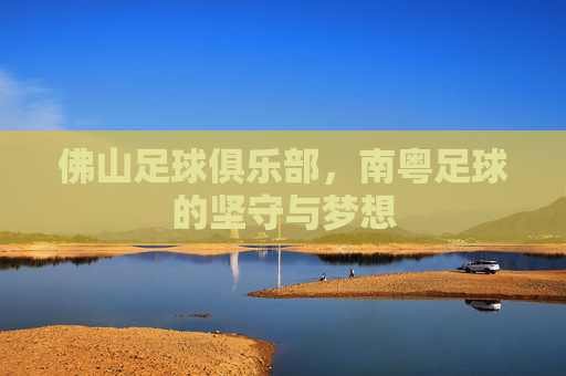 佛山足球俱乐部,南粤足球的坚守与梦想 佛山足球俱乐部,南粤足球的坚守与梦想