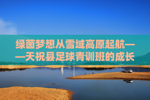 绿茵梦想从雪域高原起航——天祝县足球青训班的成长故事,雪域高原的绿茵梦想,天祝县足球青训班成长 绿茵梦想从雪域高原起航——天祝县足球青训班的成长故事,雪域高原的绿茵梦想,天祝县足球青训班成长