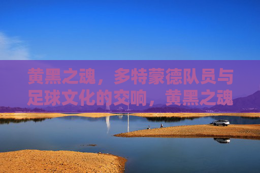 黄黑之魂,多特蒙德队员与足球文化的交响,黄黑之魂,队员与足球文化的交响 黄黑之魂,多特蒙德队员与足球文化的交响,黄黑之魂,队员与足球文化的交响