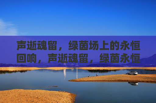 声逝魂留，绿茵场上的永恒回响，声逝魂留，绿茵永恒回响