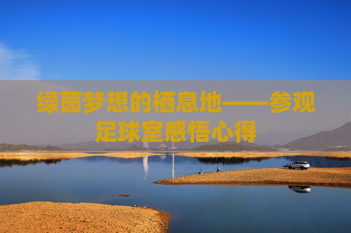 绿茵梦想的栖息地——参观足球室感悟心得
