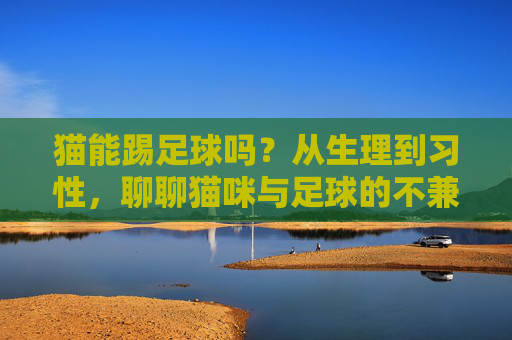 猫能踢足球吗?从生理到习性,聊聊猫咪与足球的不兼容 猫能踢足球吗?从生理到习性,聊聊猫咪与足球的不兼容