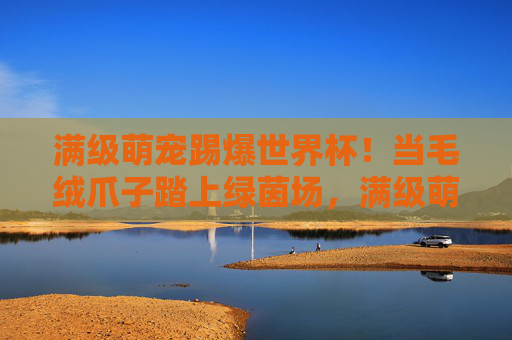 满级萌宠踢爆世界杯！当毛绒爪子踏上绿茵场，满级萌宠踏爆世界杯！毛绒爪子征服绿茵场