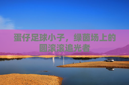 蛋仔足球小子,绿茵场上的圆滚滚追光者 蛋仔足球小子,绿茵场上的圆滚滚追光者