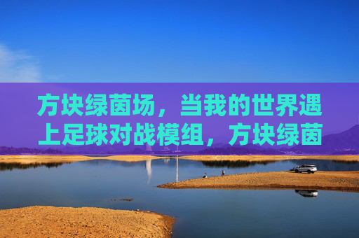 方块绿茵场，当我的世界遇上足球对战模组，方块绿茵场，我的世界遇上足球对战模组