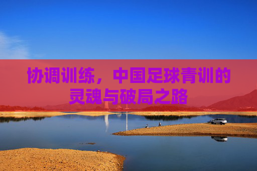 协调训练，中国足球青训的灵魂与破局之路