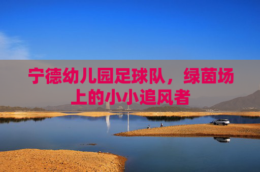 宁德幼儿园足球队，绿茵场上的小小追风者