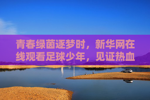 青春绿茵逐梦时,新华网在线观看足球少年,见证热血成长 青春绿茵逐梦时,新华网在线观看足球少年,见证热血成长