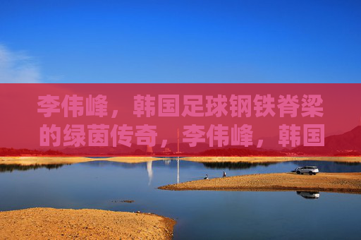 李伟峰,韩国足球钢铁脊梁的绿茵传奇,李伟峰,韩国足球钢铁脊梁的绿茵传奇 李伟峰,韩国足球钢铁脊梁的绿茵传奇,李伟峰,韩国足球钢铁脊梁的绿茵传奇