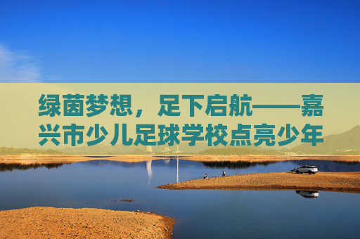 绿茵梦想，足下启航——嘉兴市少儿足球学校点亮少年足球之路，嘉兴市少儿足球学校，足下启航，点亮少年足球梦