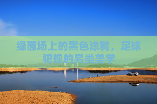 绿茵场上的黑色涂鸦，足球犯规的另类美学