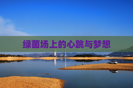 绿茵场上的心跳与梦想 绿茵场上的心跳与梦想