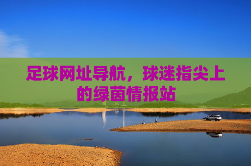 足球网址导航，球迷指尖上的绿茵情报站