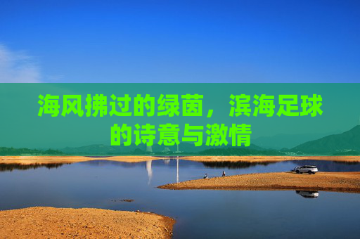 海风拂过的绿茵,滨海足球的诗意与激情 海风拂过的绿茵,滨海足球的诗意与激情