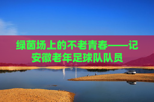 绿茵场上的不老青春——记安徽老年足球队队员