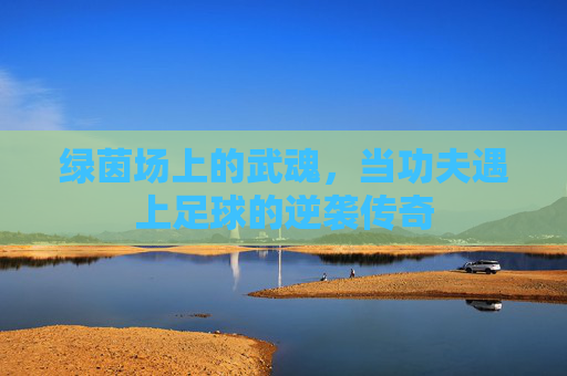 绿茵场上的武魂，当功夫遇上足球的逆袭传奇