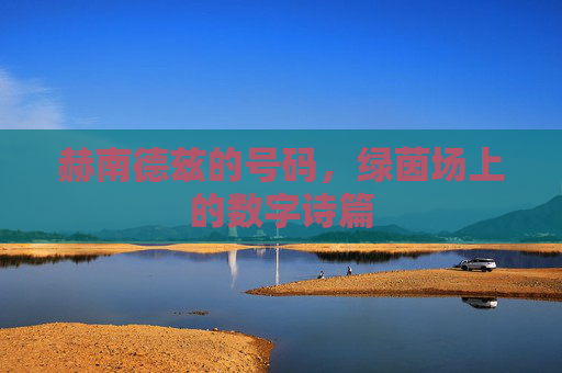 赫南德兹的号码,绿茵场上的数字诗篇 赫南德兹的号码,绿茵场上的数字诗篇