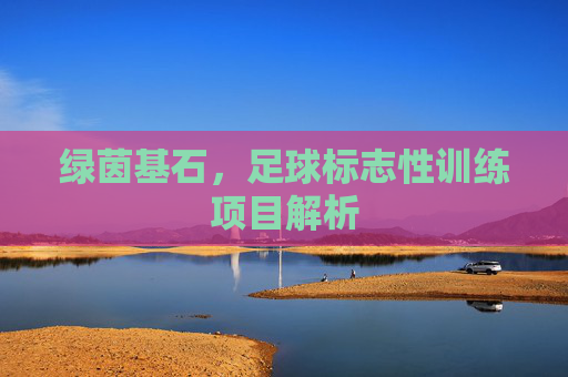 绿茵基石,足球标志性训练项目解析 绿茵基石,足球标志性训练项目解析