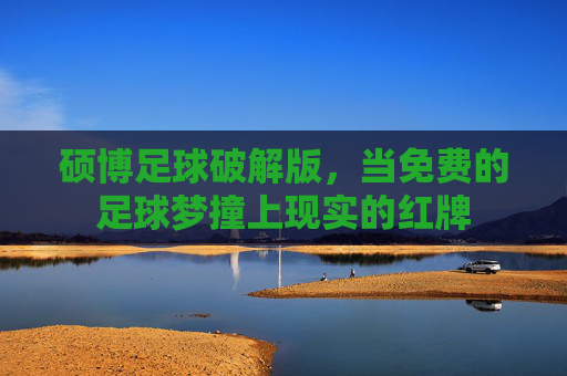 硕博足球破解版，当免费的足球梦撞上现实的红牌