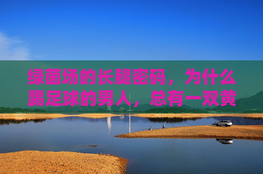 绿茵场的长腿密码,为什么踢足球的男人,总有一双黄金腿? 绿茵场的长腿密码,为什么踢足球的男人,总有一双黄金腿?