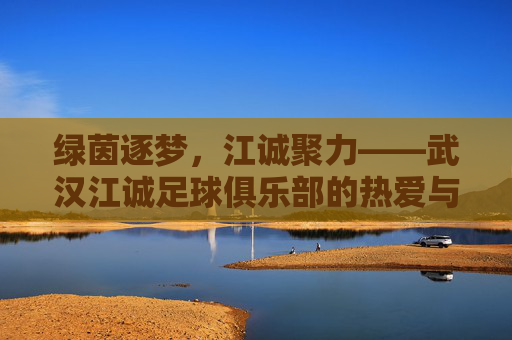 绿茵逐梦，江诚聚力——武汉江诚足球俱乐部的热爱与坚守
