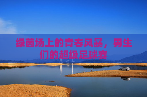 绿茵场上的青春风暴，男生们的超级足球赛