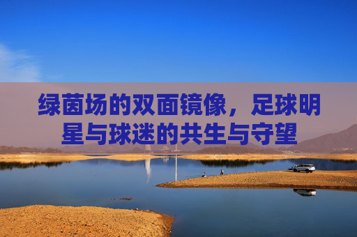 绿茵场的双面镜像，足球明星与球迷的共生与守望