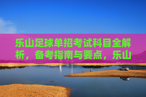 乐山足球单招考试科目全解析，备考指南与要点，乐山足球单招考试科目全解析与备考指南