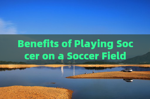 Benefits of Playing Soccer on a Soccer Field