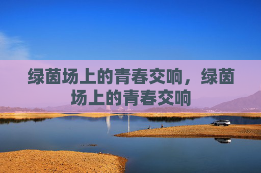 绿茵场上的青春交响，绿茵场上的青春交响