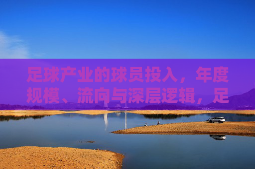 足球产业的球员投入，年度规模、流向与深层逻辑，足球产业球员投入，年度规模、流向与深层逻辑