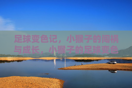 足球变色记,小猴子的闯祸与成长,小猴子的足球变色成长记 足球变色记,小猴子的闯祸与成长,小猴子的足球变色成长记