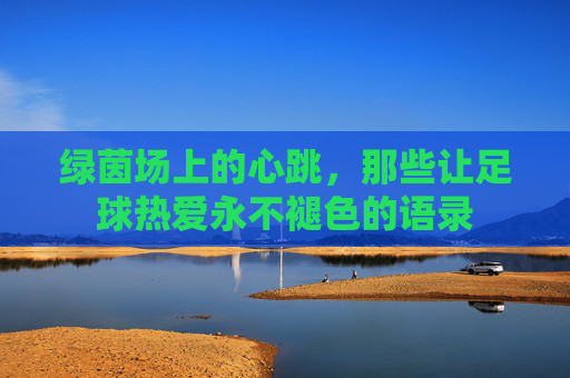 绿茵场上的心跳,那些让足球热爱永不褪色的语录 绿茵场上的心跳,那些让足球热爱永不褪色的语录