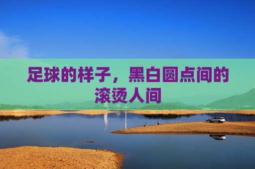 足球的样子，黑白圆点间的滚烫人间