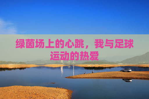 绿茵场上的心跳，我与足球运动的热爱
